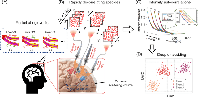Figure 1 for Transient motion classification through turbid volumes via parallelized single-photon detection and deep contrastive embedding