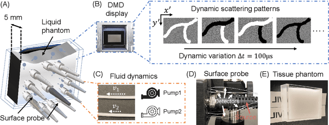 Figure 2 for Transient motion classification through turbid volumes via parallelized single-photon detection and deep contrastive embedding