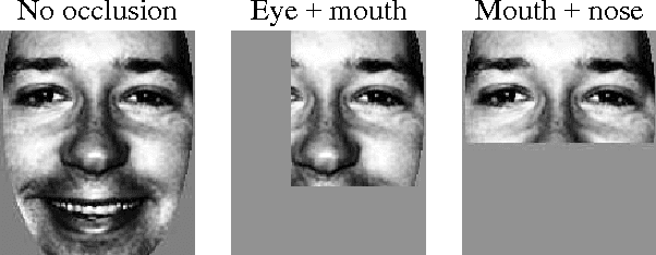 Figure 3 for Automatic Face Recognition System Based on Local Fourier-Bessel Features