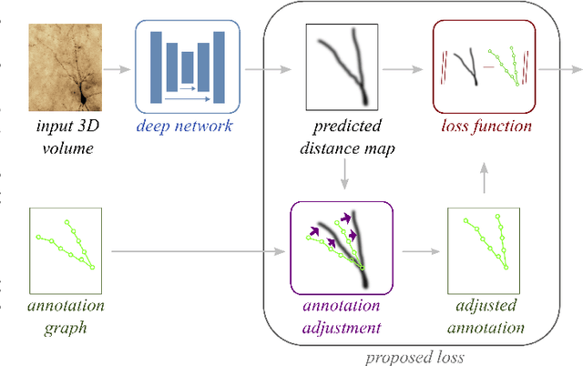 Figure 1 for Adjusting the Ground Truth Annotations for Connectivity-Based Learning to Delineate