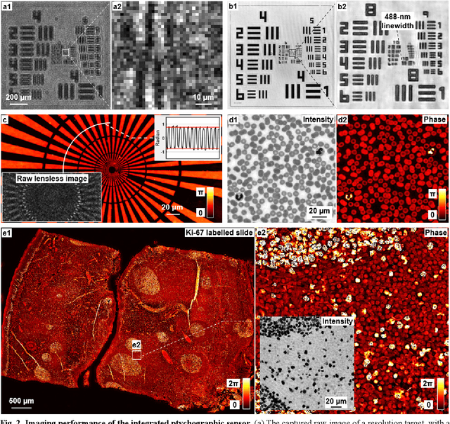 Figure 2 for Ptychographic sensor for large-scale lensless microbial monitoring with high spatiotemporal resolution