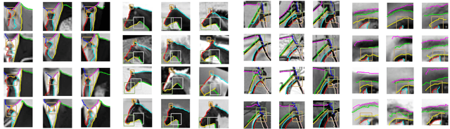 Figure 3 for Structured learning and detailed interpretation of minimal object images