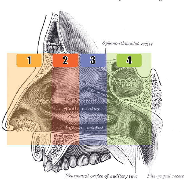 Figure 1 for Towards automatic initialization of registration algorithms using simulated endoscopy images