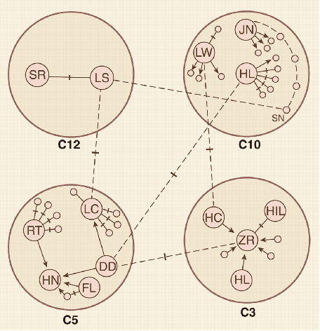 Figure 1 for A Survey of Hierarchy Identification in Social Networks