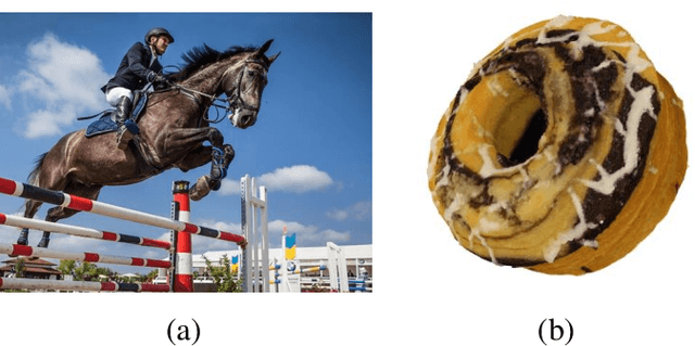 Figure 1 for Blind Quality Assessment of 3D Dense Point Clouds with Structure Guided Resampling