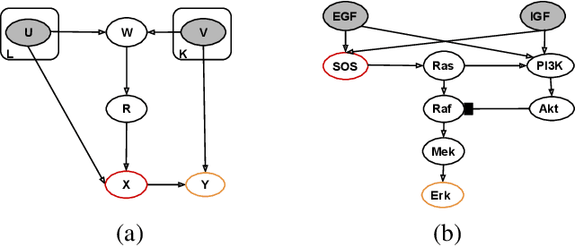 Figure 2 for Do-calculus enables causal reasoning with latent variable models