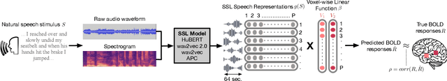 Figure 1 for Self-supervised models of audio effectively explain human cortical responses to speech