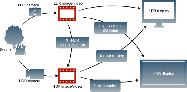 Figure 1 for How to cheat with metrics in single-image HDR reconstruction
