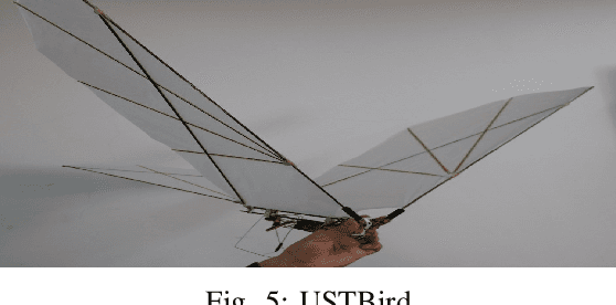 Figure 4 for Vision-Based Target Localization for a Flapping-Wing Aerial Vehicle
