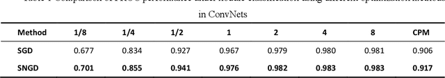 Figure 1 for A Novel Structured Natural Gradient Descent for Deep Learning
