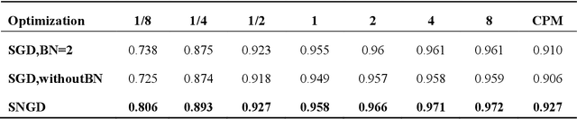 Figure 4 for A Novel Structured Natural Gradient Descent for Deep Learning