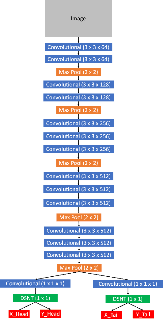 Figure 3 for Head and Tail Localization of C. elegans