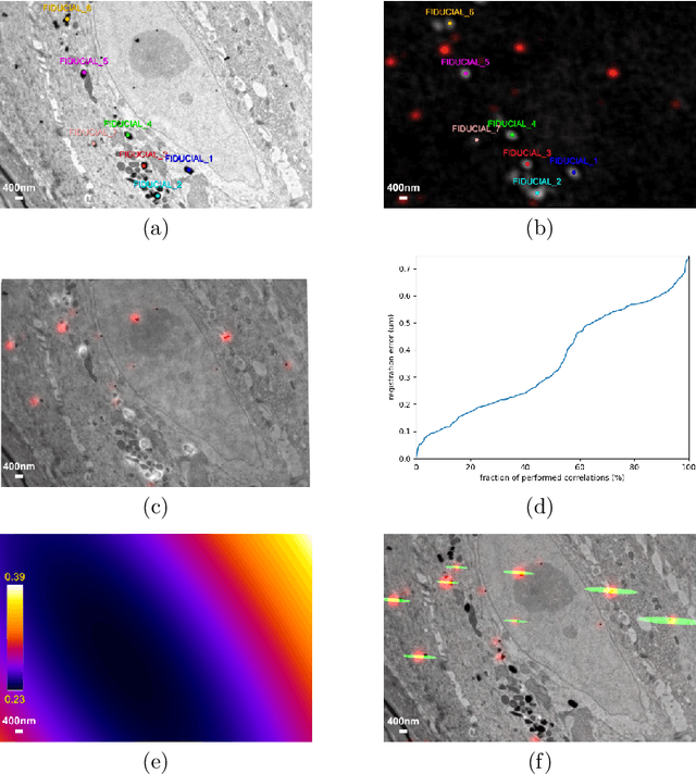 Figure 2 for A registration error estimation framework for correlative imaging