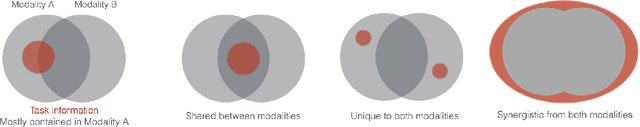 Figure 1 for Critical Learning Periods for Multisensory Integration in Deep Networks