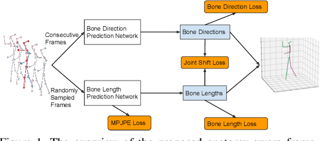 Figure 1 for Anatomy-aware 3D Human Pose Estimation in Videos