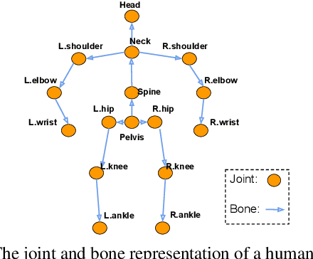 Figure 3 for Anatomy-aware 3D Human Pose Estimation in Videos