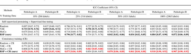 Figure 4 for Self-supervised driven consistency training for annotation efficient histopathology image analysis