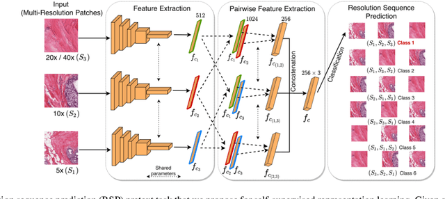 Figure 2 for Self-supervised driven consistency training for annotation efficient histopathology image analysis