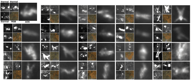 Figure 3 for Search and Rescue with Airborne Optical Sectioning