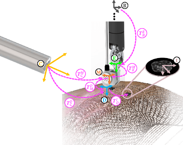 Figure 2 for Autonomous Scanning for Endomicroscopic Mosaicing and 3D Fusion
