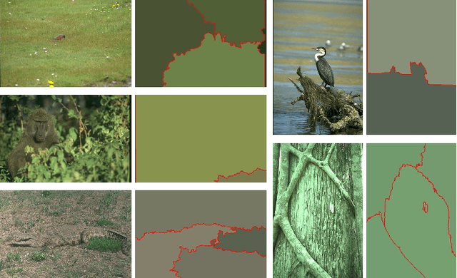 Figure 4 for Adaptive Fusion Affinity Graph with Noise-free Online Low-rank Representation for Natural Image Segmentation