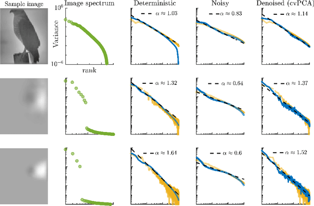 Figure 3 for Optimal input representation in neural systems at the edge of chaos