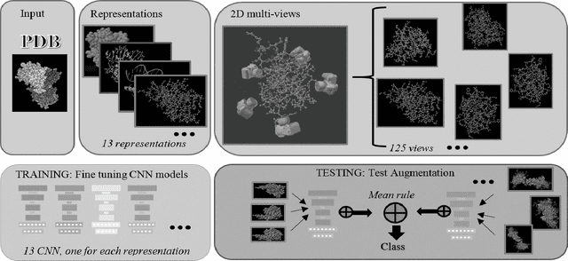 Figure 1 for iProStruct2D: Identifying protein structural classes by deep learning via 2D representations
