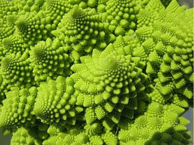 Figure 3 for Deep Learning Works in Practice. But Does it Work in Theory?