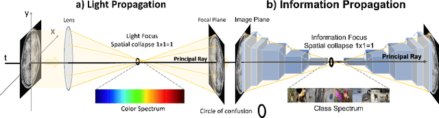 Figure 1 for U Symmetry-breaking Observed in Generic CNN Bottleneck Layers