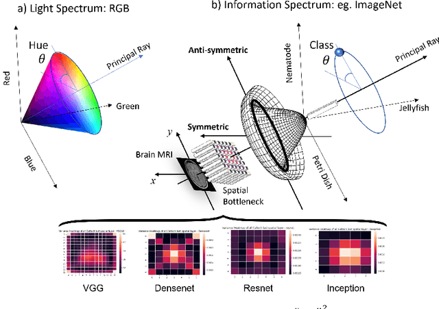 Figure 3 for U Symmetry-breaking Observed in Generic CNN Bottleneck Layers