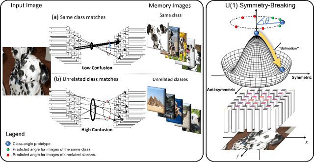 Figure 4 for U Symmetry-breaking Observed in Generic CNN Bottleneck Layers