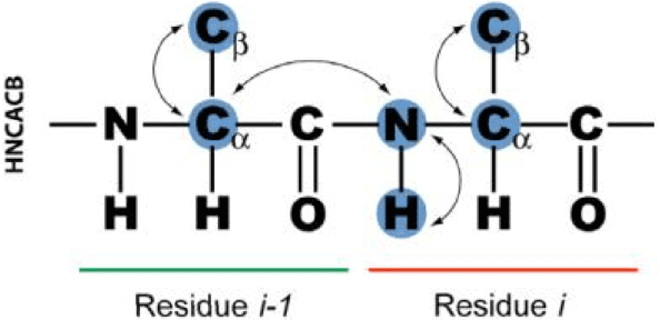 Figure 1 for Automated Assignment of Backbone NMR Data using Artificial Intelligence