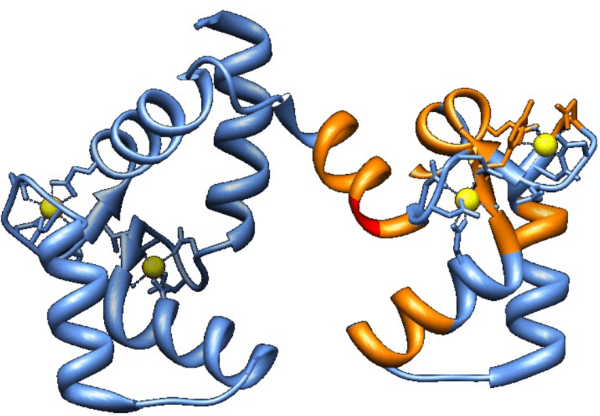 Figure 3 for Automated Assignment of Backbone NMR Data using Artificial Intelligence