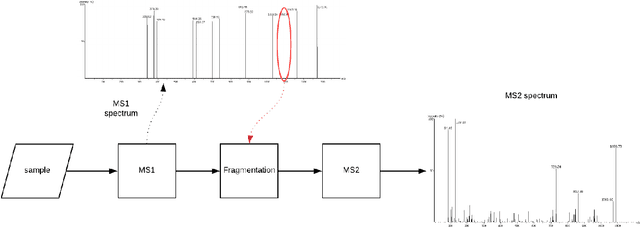 Figure 1 for DeepNovoV2: Better de novo peptide sequencing with deep learning