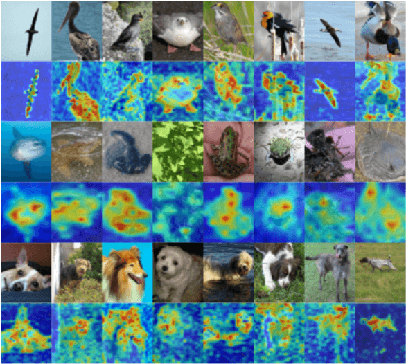 Figure 1 for RAMS-Trans: Recurrent Attention Multi-scale Transformer forFine-grained Image Recognition