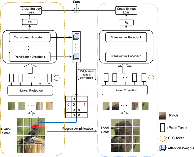 Figure 3 for RAMS-Trans: Recurrent Attention Multi-scale Transformer forFine-grained Image Recognition