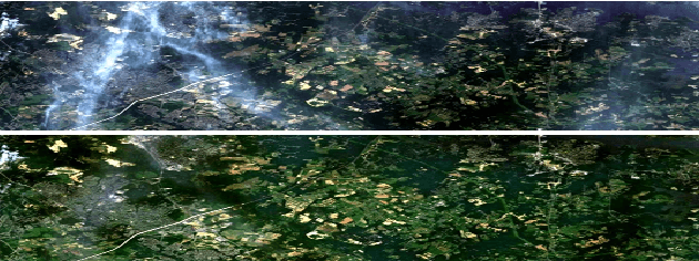 Figure 4 for Mapping Informal Settlements in Developing Countries using Machine Learning and Low Resolution Multi-spectral Data