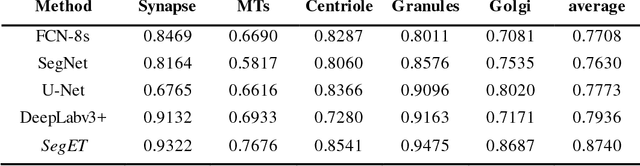 Figure 2 for SegET: Deep Neural Network with Rich Contextual Features for Cellular Structures Segmentation in Electron Tomography Image