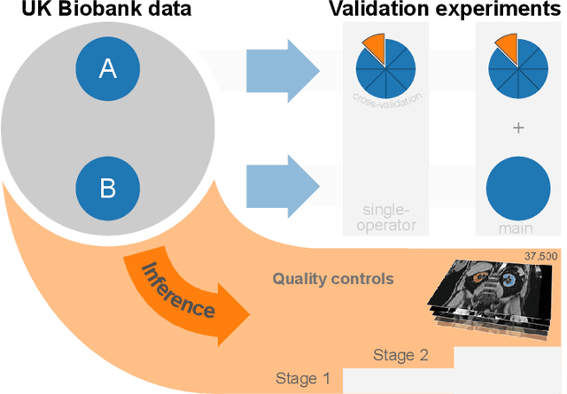 Figure 1 for Kidney segmentation in neck-to-knee body MRI of 40,000 UK Biobank participants