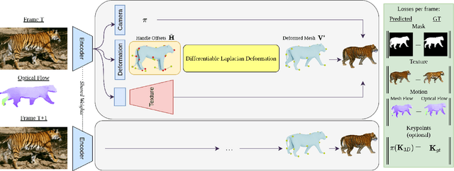 Figure 3 for Learning monocular 3D reconstruction of articulated categories from motion