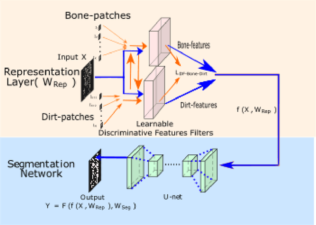 Figure 3 for Multi-Class Micro-CT Image Segmentation Using Sparse Regularized Deep Networks