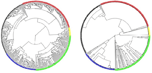 Figure 2 for Clustering categorical data via ensembling dissimilarity matrices