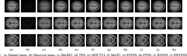 Figure 2 for Tensor Recovery Based on A Novel Non-convex Function Minimax Logarithmic Concave Penalty Function