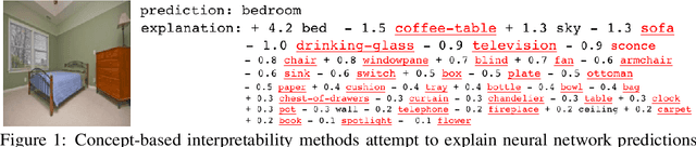 Figure 1 for Overlooked factors in concept-based explanations: Dataset choice, concept salience, and human capability