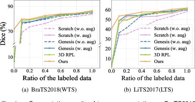 Figure 1 for Self-supervised Tumor Segmentation through Layer Decomposition