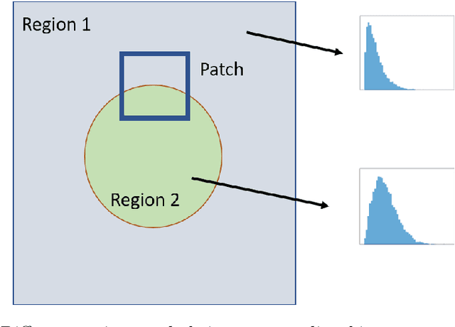 Figure 1 for Deep Estimation of Speckle Statistics Parametric Images