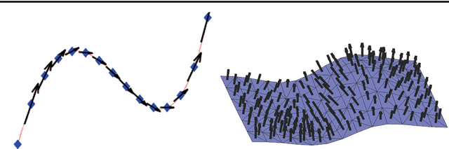 Figure 1 for Functional Currents : a new mathematical tool to model and analyse functional shapes
