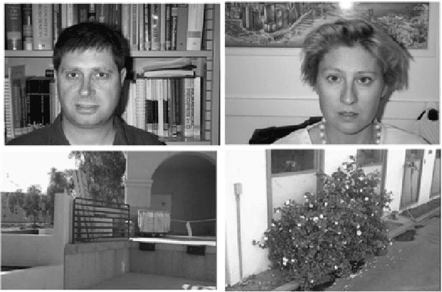 Figure 2 for Acquisition of Visual Features Through Probabilistic Spike-Timing-Dependent Plasticity