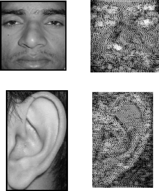 Figure 3 for Multibiometrics Belief Fusion