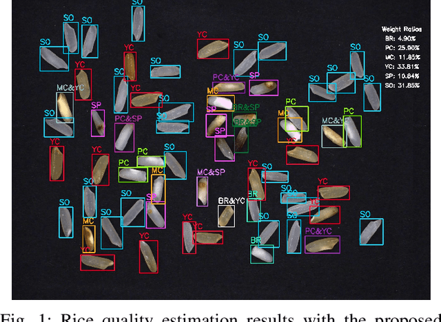 Figure 1 for Vision-Based Defect Classification and Weight Estimation of Rice Kernels